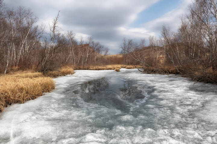 Просыпается природа.