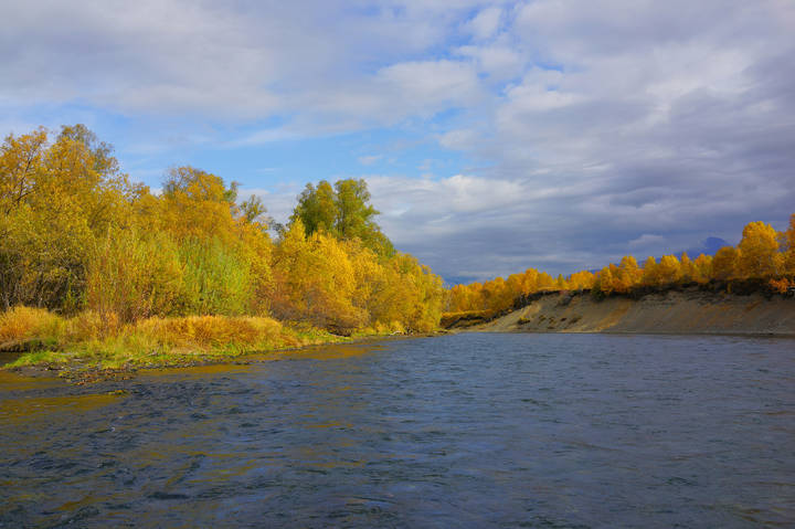 Река Быстрая .