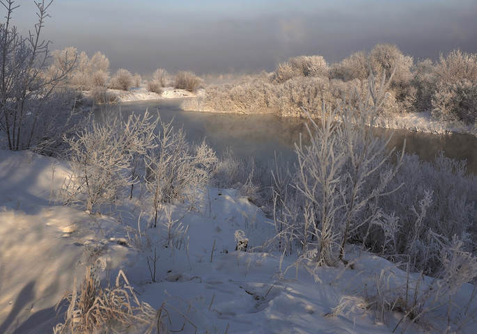Немного солнца в морозный день
