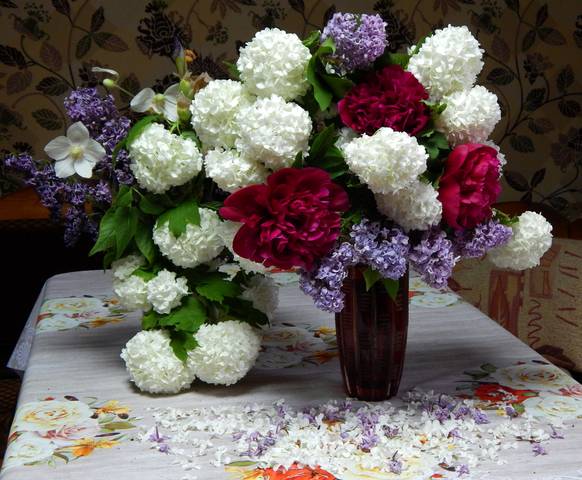 с пионами