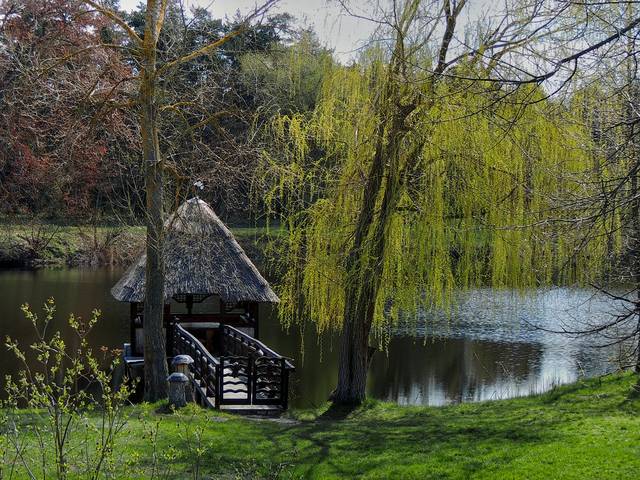 # 6