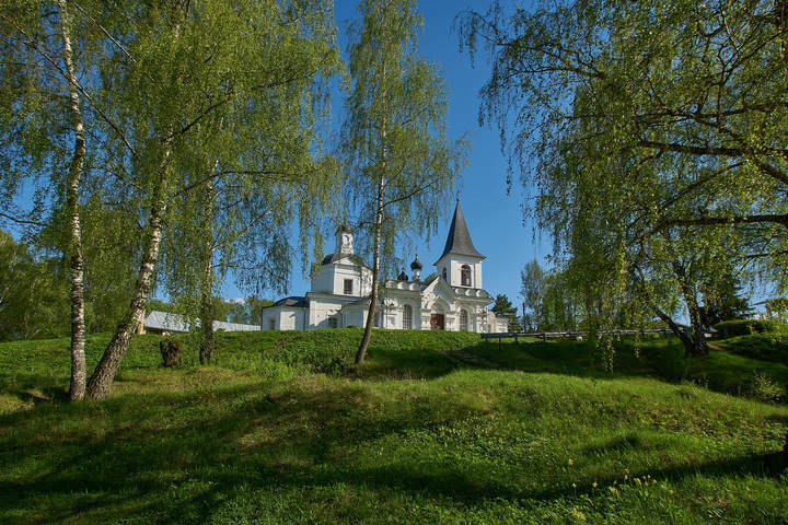 Весенняя зелень