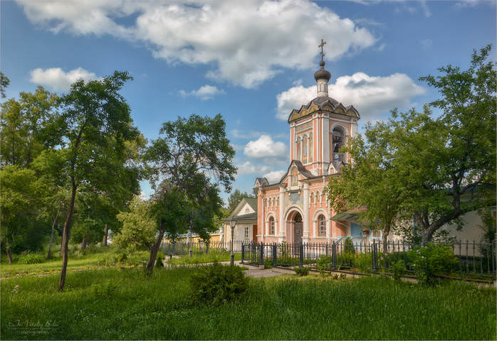 Оптинский скит окруженный лесом