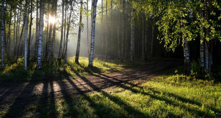 Утреннее..,...   