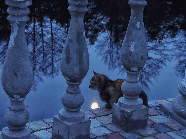 Охота