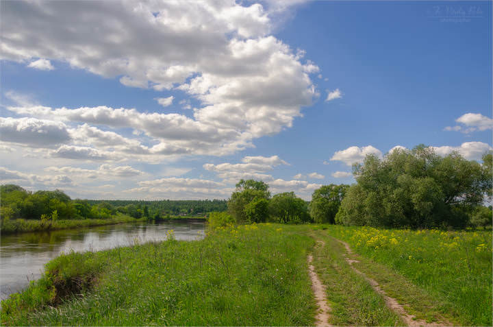 Дорога в лето