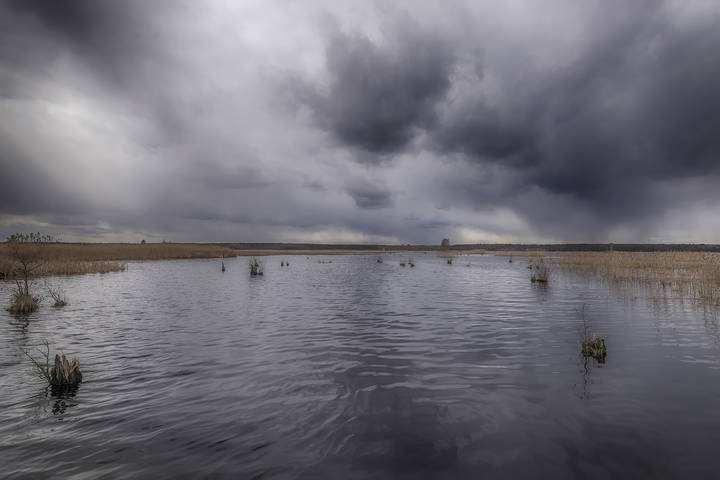 Вода повсюду