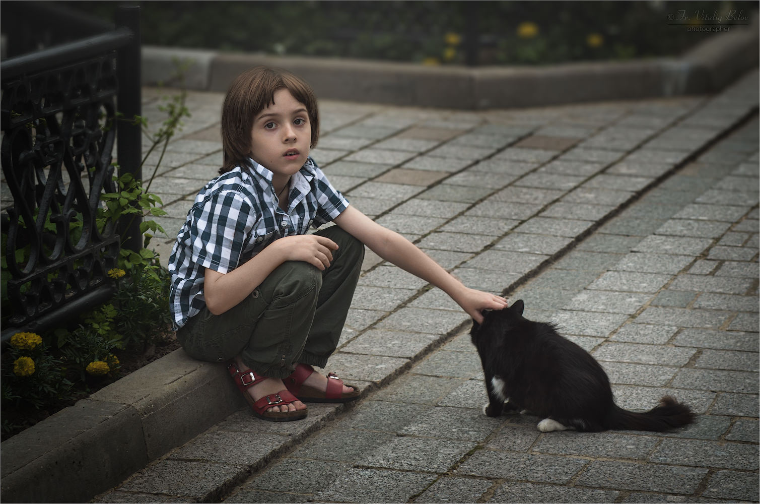 Портрет мальчика с котом