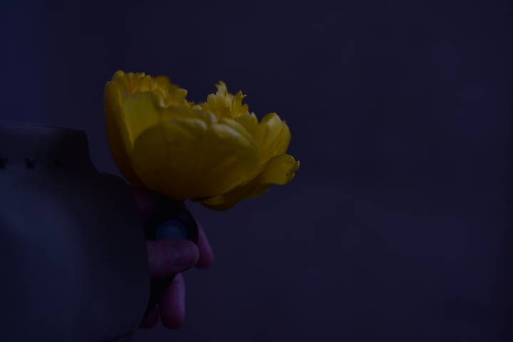 60c66031e2cfda65cd6a93e1