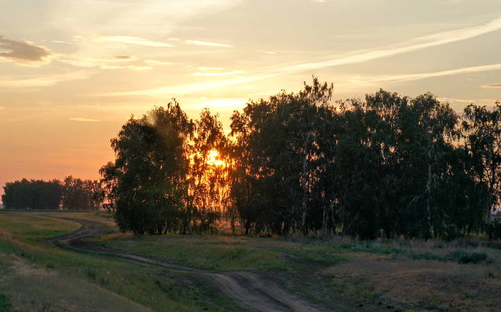 За колком закат.