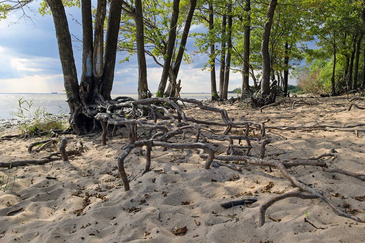 # 5