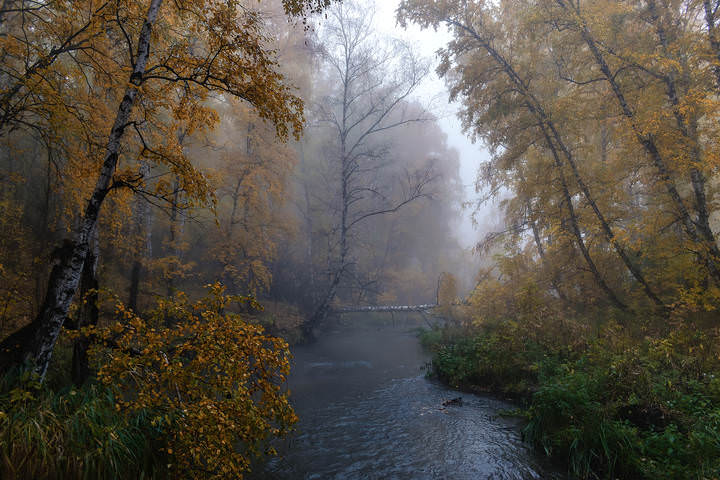ОСЕНЬ НА ЧЕРНОЙ РЕЧКЕ