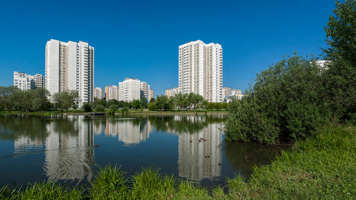 Жаркое утро  у пруда