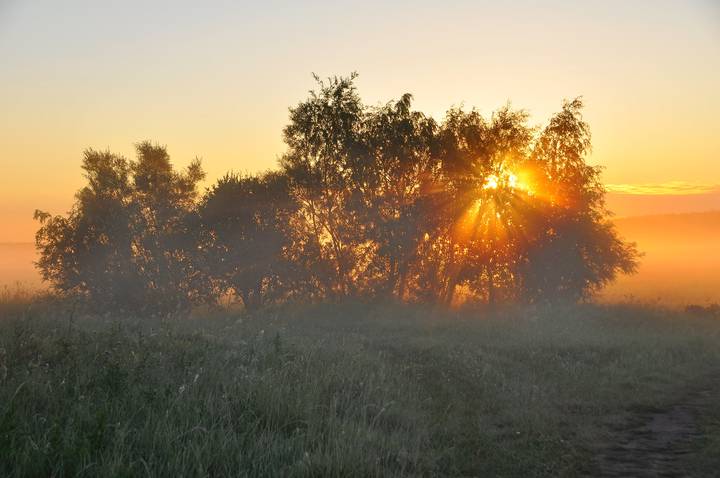 Утреннее солнце