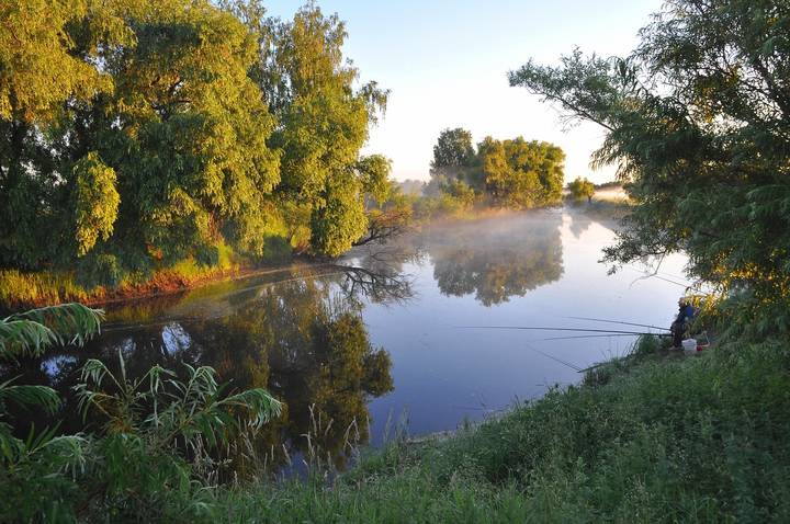 Утренняя рыбалка