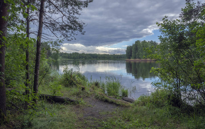 Фото луковое озеро ногинский район