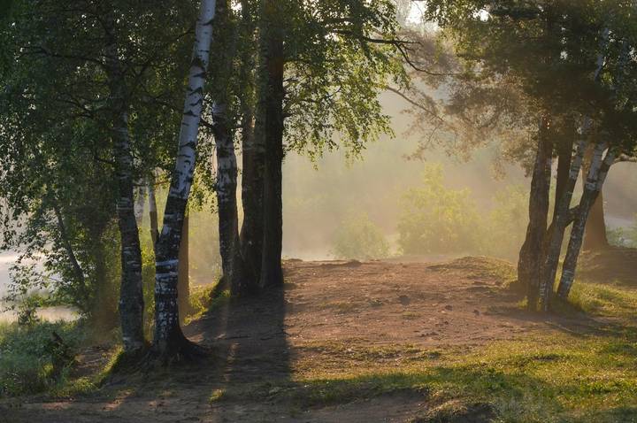 Утро у озера.......