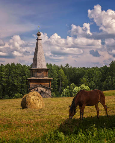 Сенокосная пора