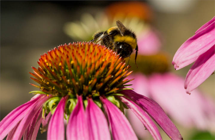 Вот и лето пришло