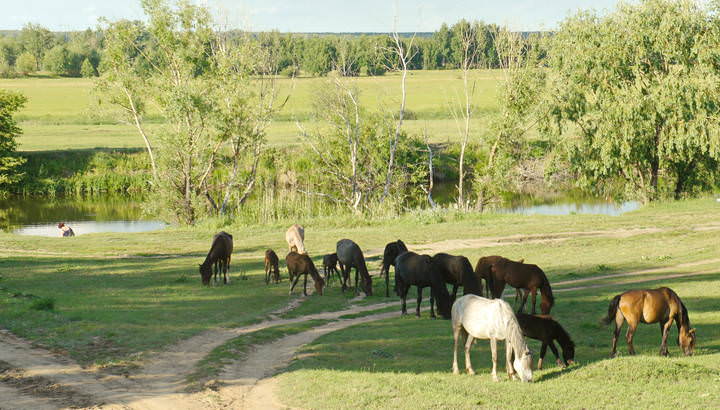 У реки Ачаирка.