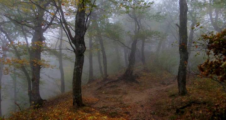 Осеннее утро.......