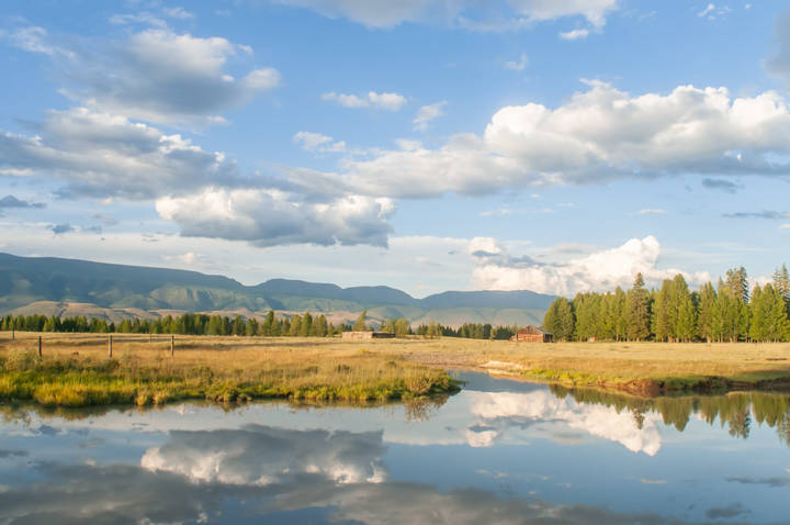 Курайская степь
