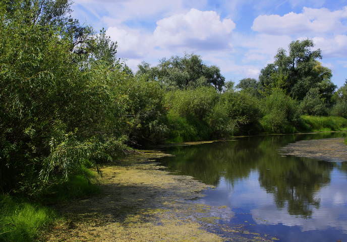 Старица Иртыша.