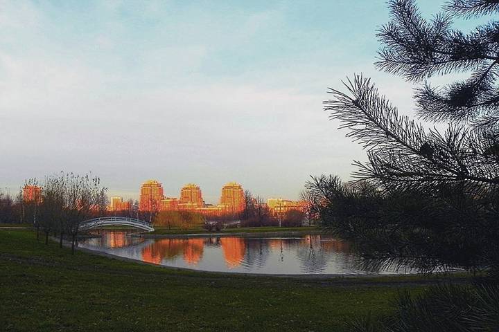 Пруд в парке