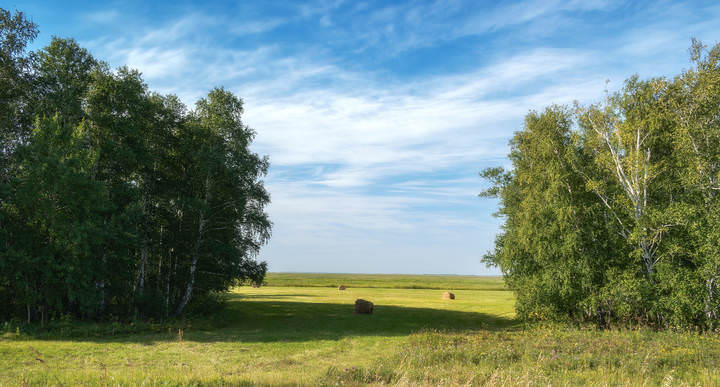 ВЕРХУШКА ЛЕТА