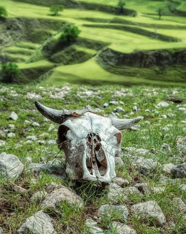 # 1
