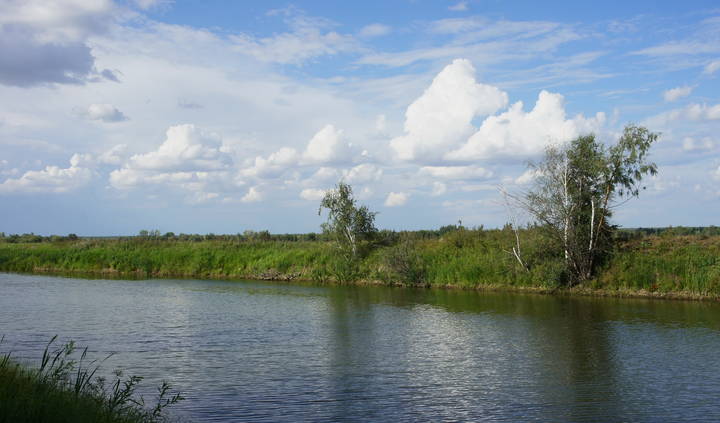Пейзаж августа.