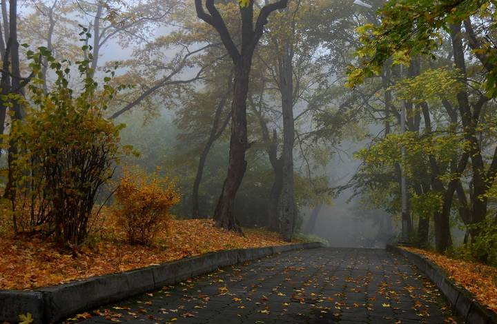 Осеннее утро.......