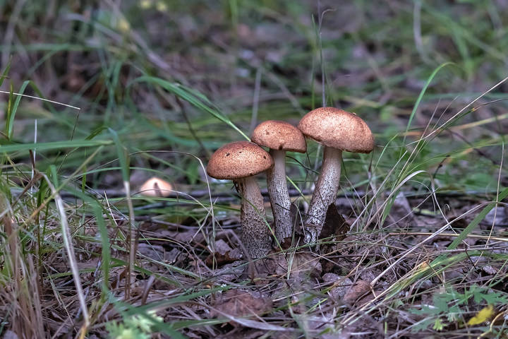 # 3