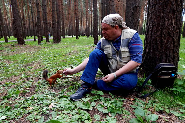 Белочка пришла