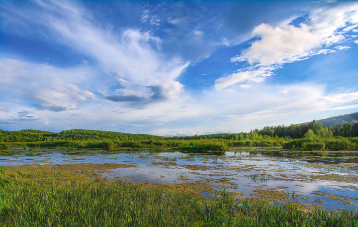 Прекрасна летняя пора