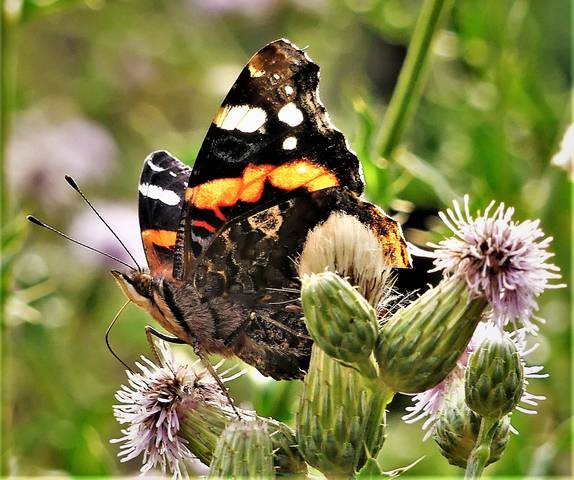 # 1