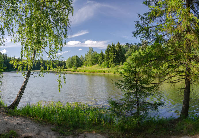 Абрамцево. Река Воря