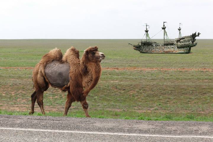 Старые корабли