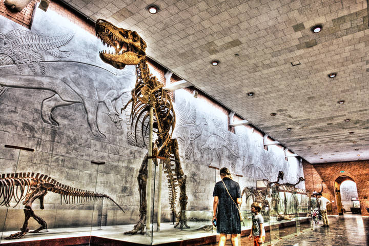 В музее