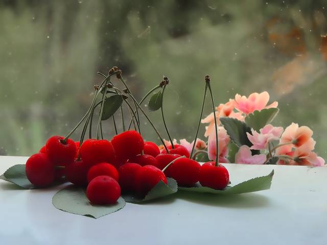 Вишня
