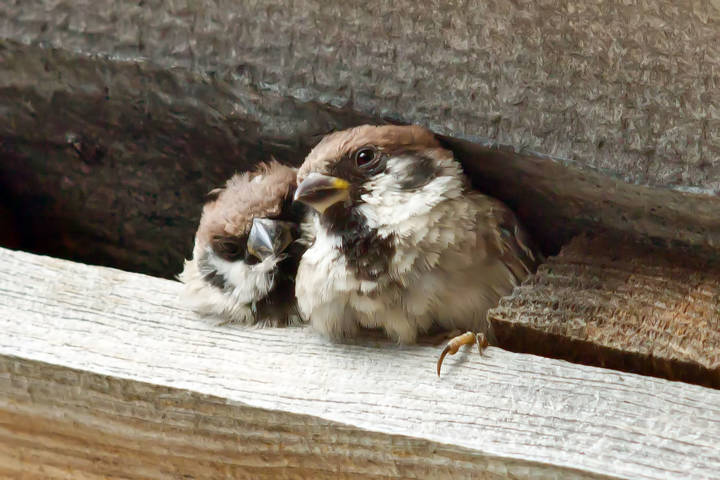 Не грусти ! Давай по пивку!