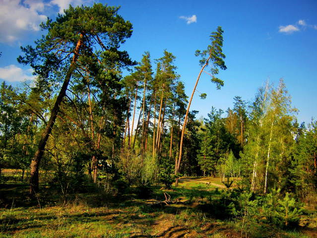  Вечер.