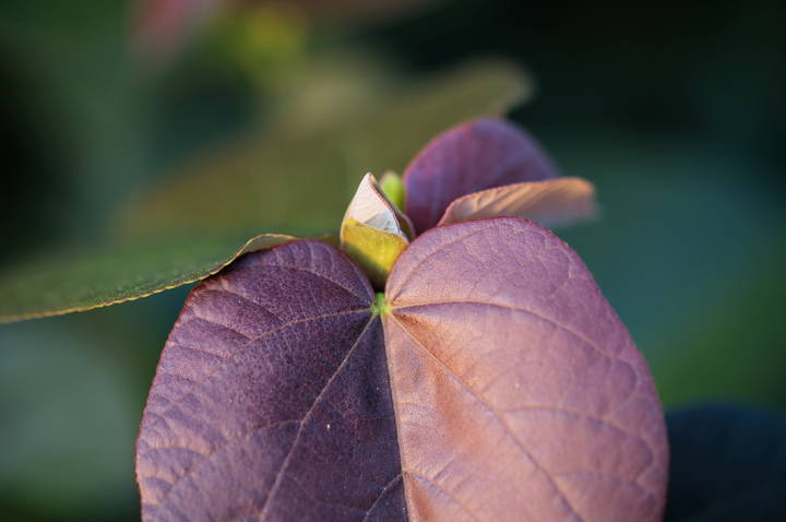 Summer has passed Autumn has come.