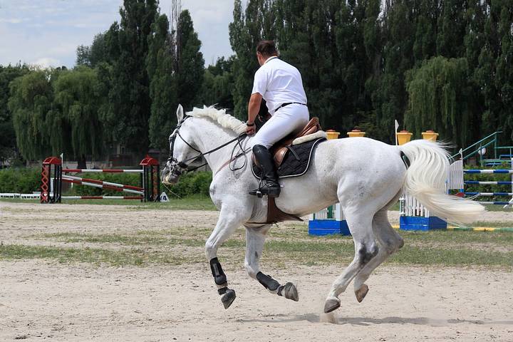Лидер