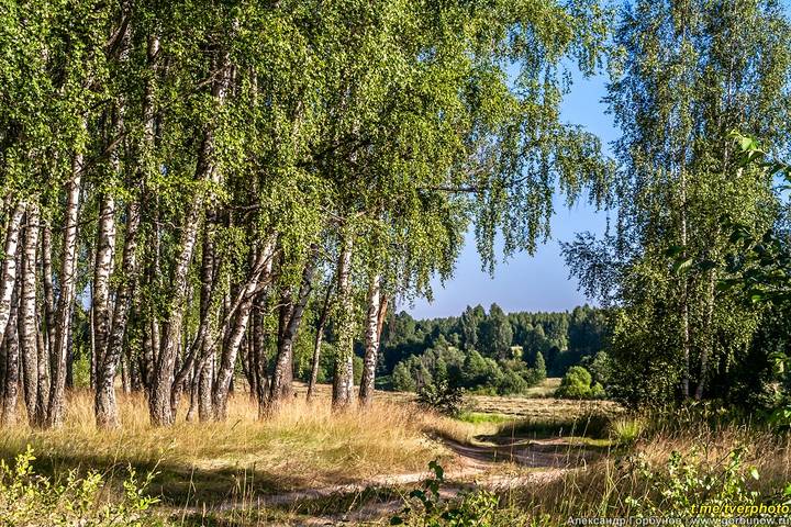 Родные края