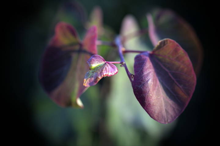 Summer has passed Autumn has come. 