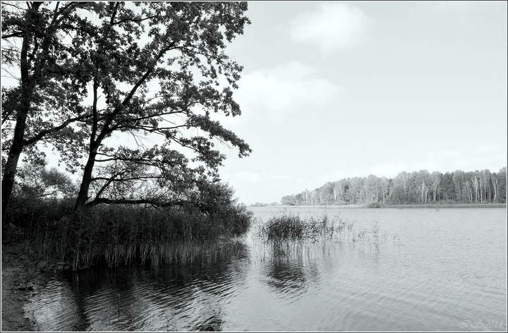 осенний берег
