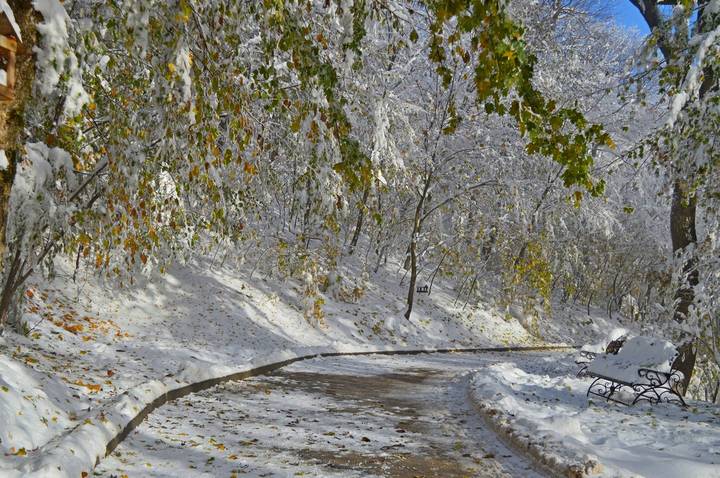 Снежная осень.......