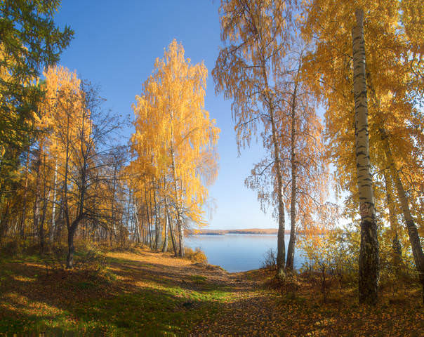 На озере осень