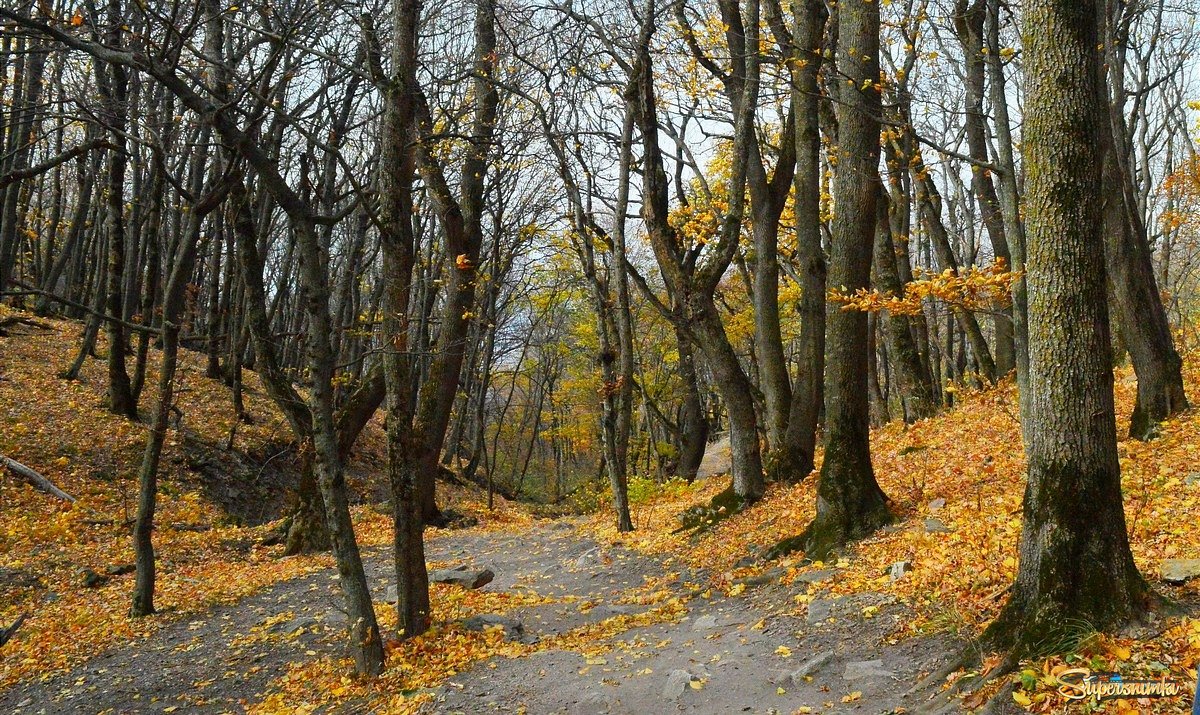 Кавказская осень.......